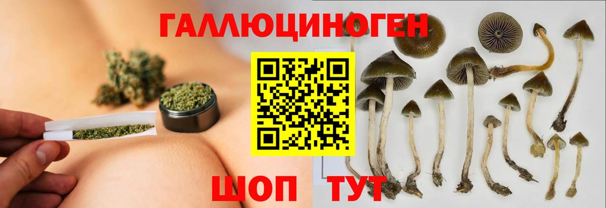 Псилоцибиновые грибы мицелий Нижнекамск